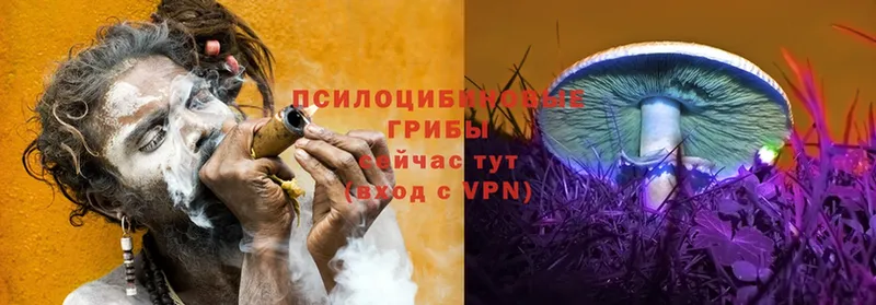 Галлюциногенные грибы Magic Shrooms  Алексеевка 